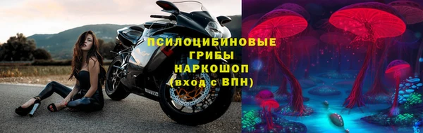 PSILOCYBIN Аркадак