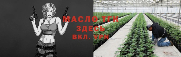 PSILOCYBIN Аркадак