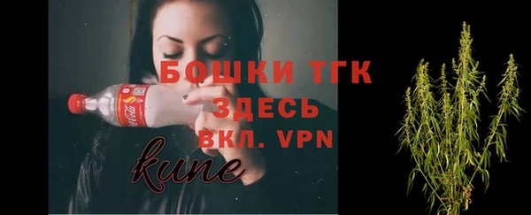 PSILOCYBIN Аркадак