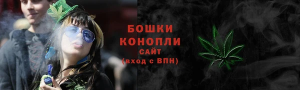 PSILOCYBIN Аркадак