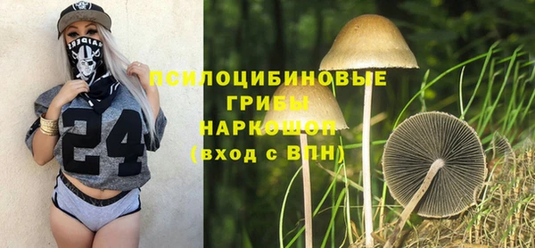 хмурый Армянск