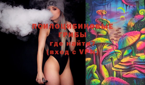 PSILOCYBIN Аркадак