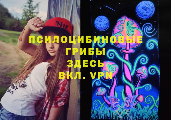 хмурый Армянск