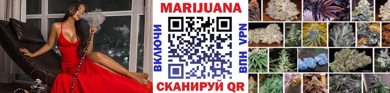 где купить   Балтийск  Конопля Amnesia 